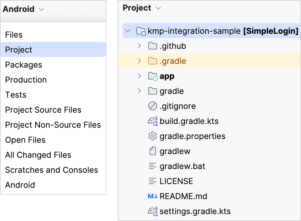 Project view